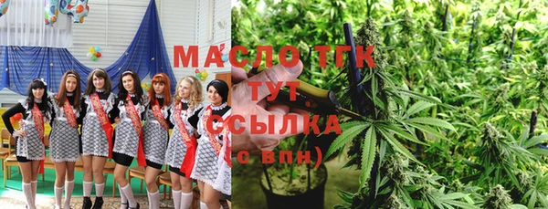 spice Инсар