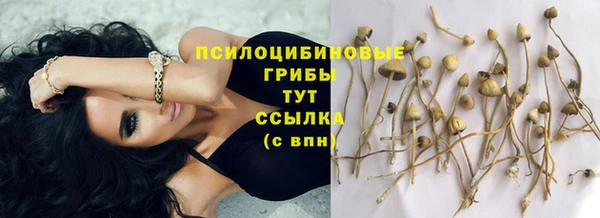 ALPHA PVP Зеленокумск