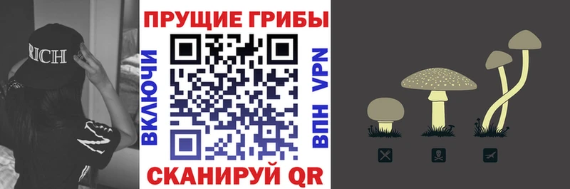 Купить Новоалександровск Псилоцибиновые грибы прущие грибы